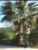 Cascade 1,5 Tours avec Retournement Apr�s R�cup�ration