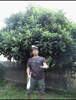 Passage Tempe/T�te Altern� Droite/Gauche