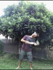 423 (4 D�p�t Tempe Oppos�e)