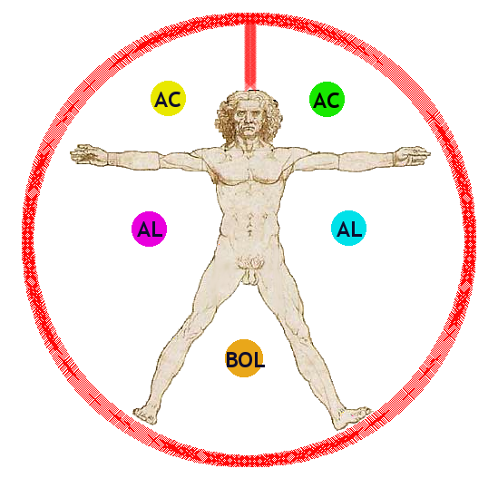 humanoide