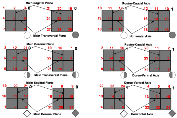 graph-corps-jongle-points-axes-1-small.png