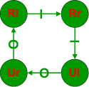 State Transition Diagram - Infinite Loop
