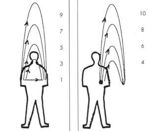 JW-vol43no2-p31-tiemman-Magnusson.png